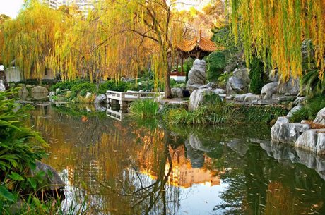 A Chinese Garden The Rhythm Of Nature Refreshing The Heart The