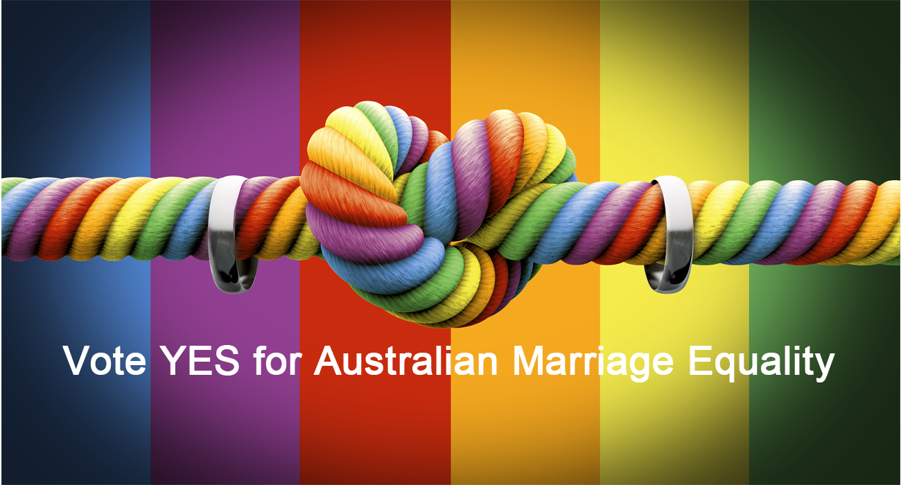 Marriage Equality Vote Yes Everyone S Feelings Matter The Culture Concept Circle