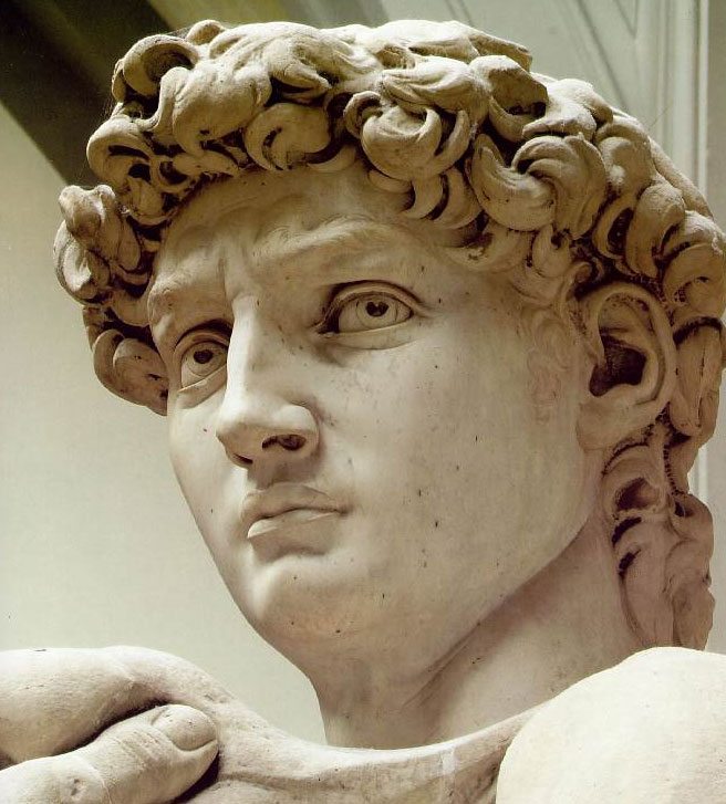 David's-Head-Michelangelo