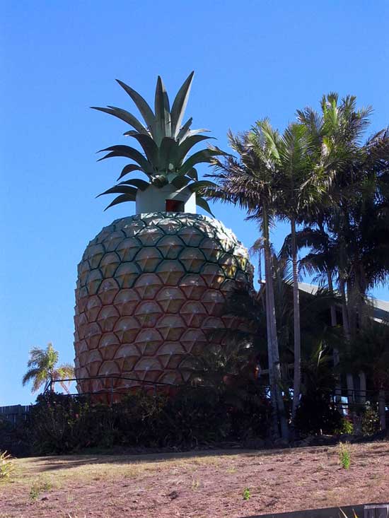 Big-Pineapple