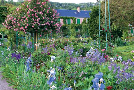 Monet's Passion, his garden at Giverny photo by Elizabeth Murray