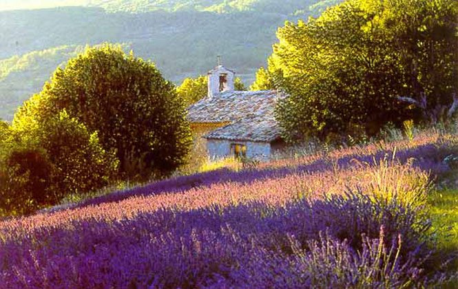 Provence-House-in-Fields