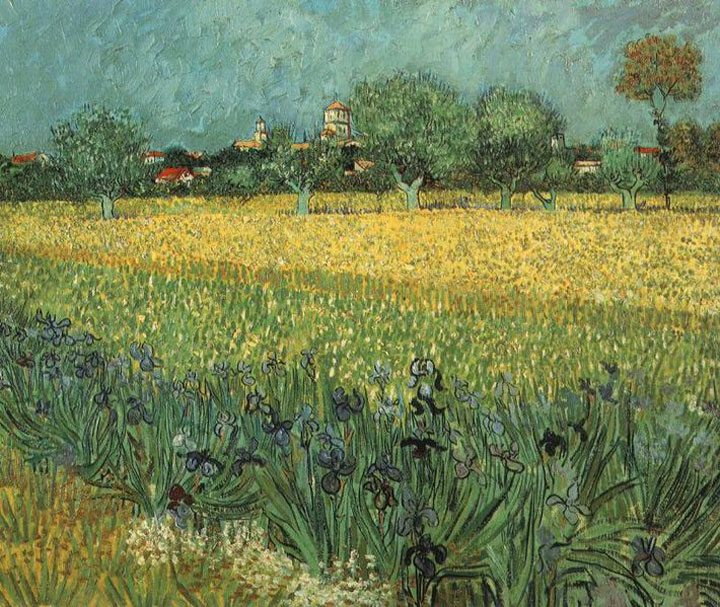 View of Arles with Irises in foreground by Vincent Van Gogh