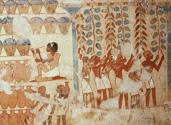 Wine Harvest in Ancient Egypt, wall painting