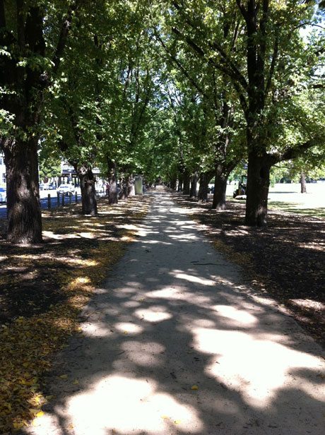 Trees: Melbourne - Nature's Fortress and Humankind's Friend | The ...