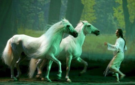 Cavalia, a Magical Encounter – Human and Horse Extravaganza