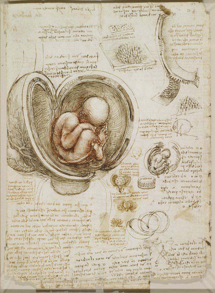 Leonardo da Vinci: Mechanics of Man – Topical Subject & Show