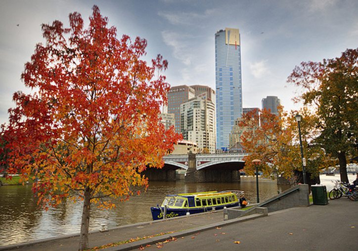 Autumn in Marvellous Melbourne 2014 – Balmy Beautiful Days