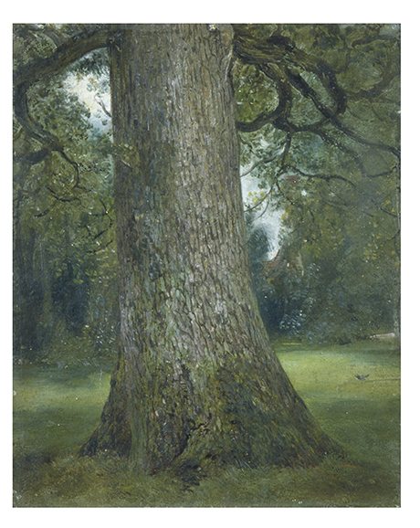 Study of the Truck of an Elm Tree, oil on paper, John Constable c.1824 © Victoria and Albert Museum, London  