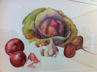 Botanical Illustration Brownell