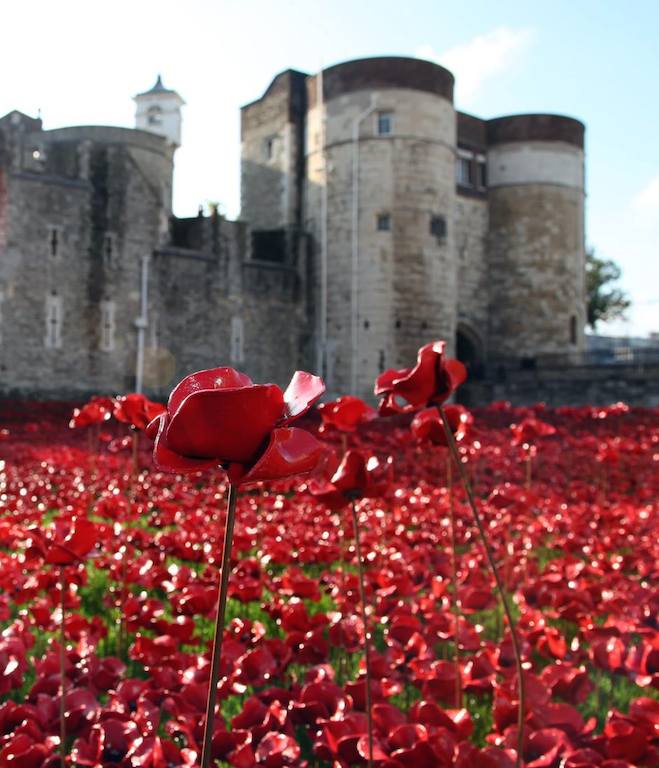 Tower of London, The Power of Poppies – Lest We Forget