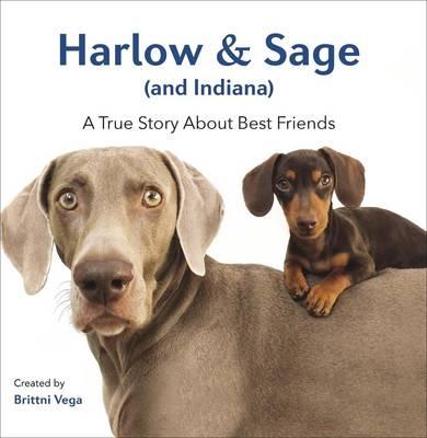 harlow-sage-and-indiana-