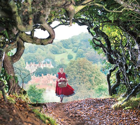 Into The Woods – If Life Was Made of Agony & Ecstasy Moments