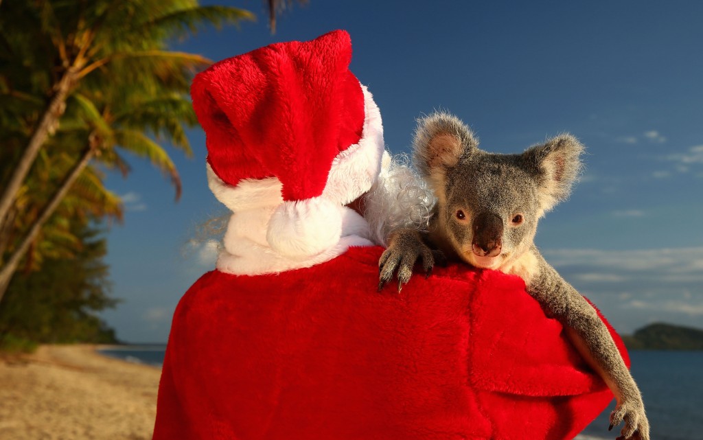 Christmas In Queensland