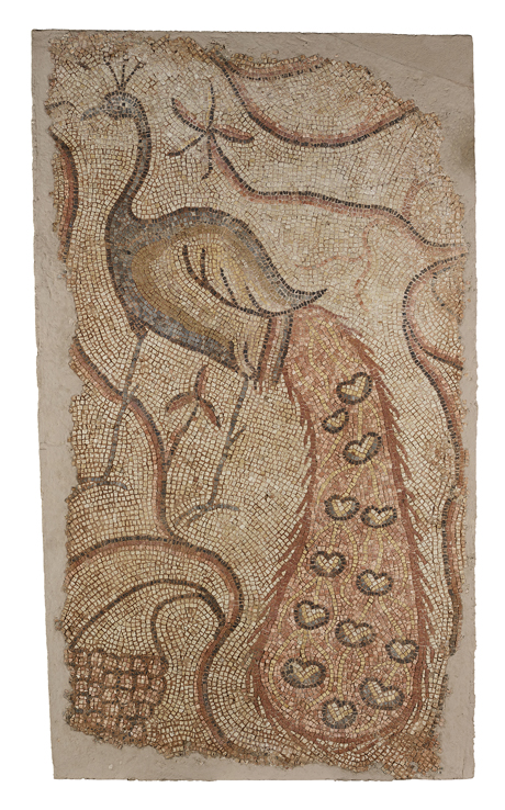 Mosaic Fragment with Peacock Facing Left