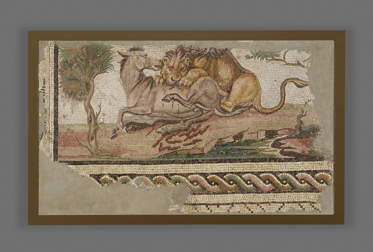 Floor Mosaic with a Lion Attacking an Onager
