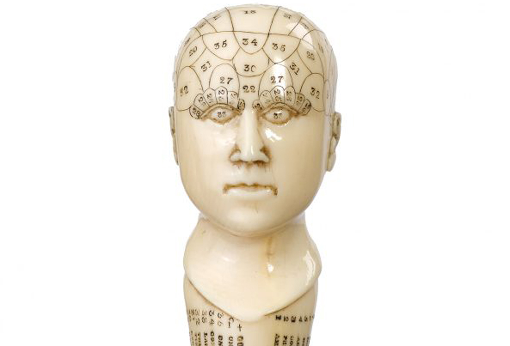 Phrenology head carved in ivory showing minimum wear hence total clarity of the lettering. English, circa 1870. Signed LEVESLEY courtesy Greengrass Antiques (NSW)