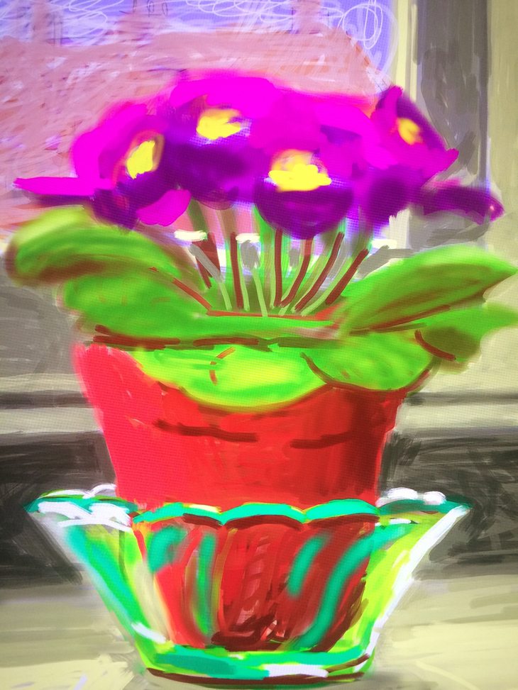 pot-plant
