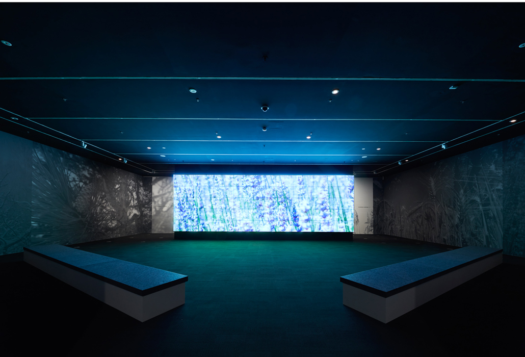 Video NGV Detail: Installation view of Van Gogh and the Seasons at the National Gallery of Victoria, Melbourne. Photo: Tom Ross