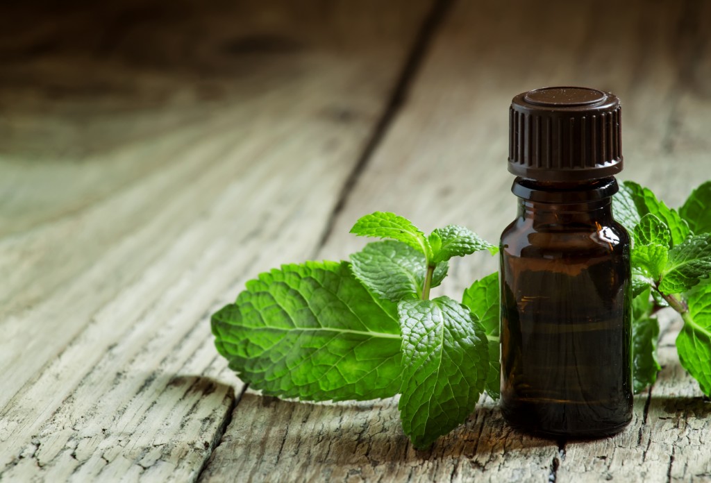 Essential oil of peppermint in a small brown bottle