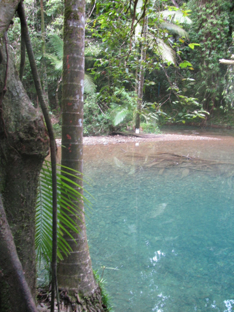 Daintree Rainforest freshwater swimming hole